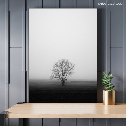 تابلو هنری سیاه و سفید Black and white art board