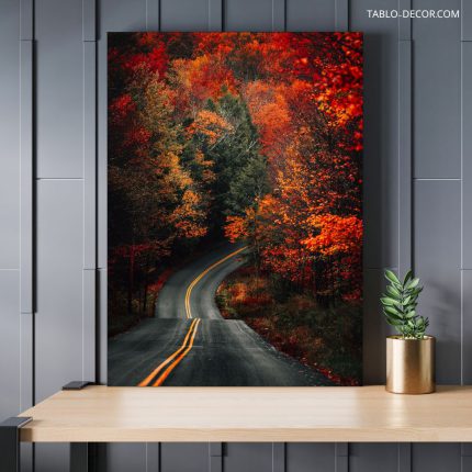 تابلو جاده جنگلی Jungle road