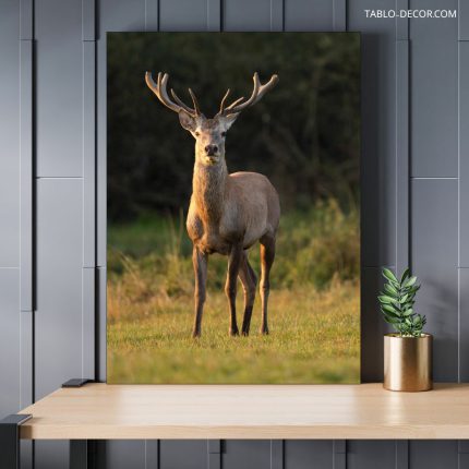 تابلو طبیعت گوزن deer
