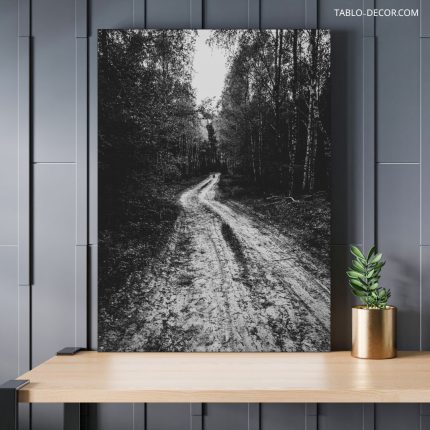 تابلو دکوراتیو طبیعت جاده و جنگل Road and forest