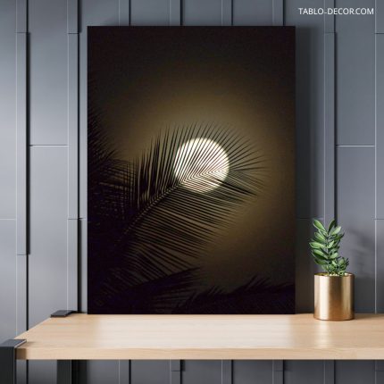 تابلو دکوراتیو مدرن ماه در تاریکی moon in the dark