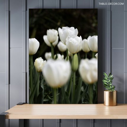تابلو دکوراتیو مدرن گل سفید White flower