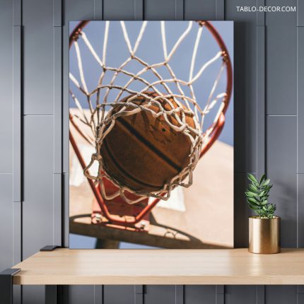 تابلو دکوراتیو ورزشی تور بسکتبال basketball net