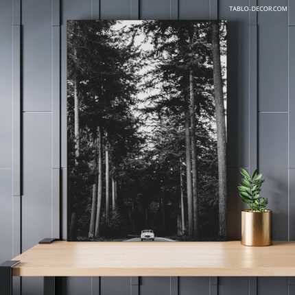 تابلو دکوراتیو مدرن جنگل زیبا Beautiful forest