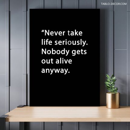 تابلو دکوراتیو انگیزش Never take life seriously