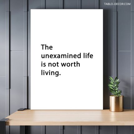 تابلو دکوراتیو انگیزشی The unexamined life is not worth living