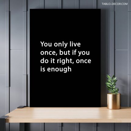 تابلو دکوراتیو انگیزشی You only live once