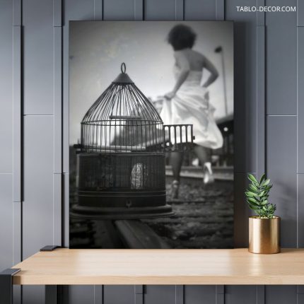 تابلو دکوراتیو مدرن دختر و قفس The girl and the cage