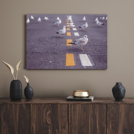 تابلو دکوراتیو مدرن کبوتر روی جاده Pigeon on the road