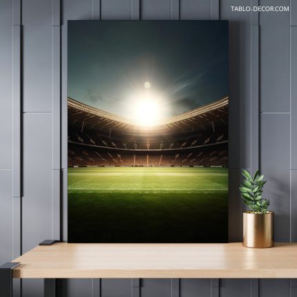 تابلو دکوراتیو مدرن ورزشی زمین فوتبال football pitch