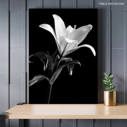 تابلو دکوراتیو مدرن گل سفید زیبا Beautiful white flower