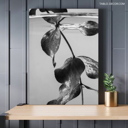 تابلو دکوراتیو مینیمال گل سیاه و سفید Black and white flowers