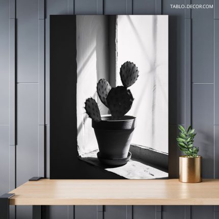 تابلو دکوراتیو مینیمال کاکتوس پشت پنجره Cactus behind the window