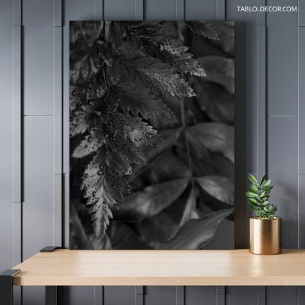 تابلو دکوراتیو مدرن برگ سیاه و سفید Black and white leaves