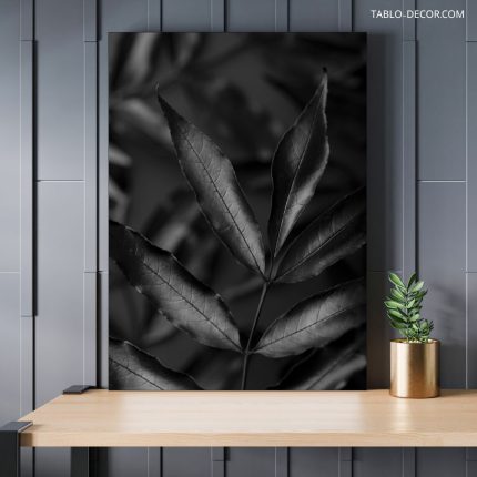 تابلو دکوراتیو مدرن برگ سیاه و سفید Black and white leaves