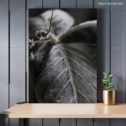 تابلو برگ زیبا beautiful leaf