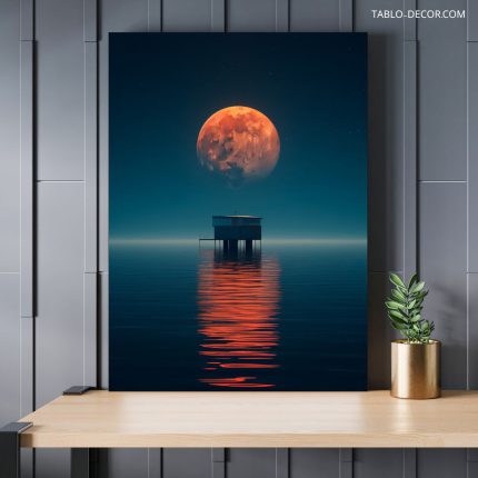 تابلو دکوراتیو ماه در تاریکی moon in the dark