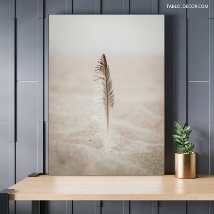 تابلو دکوراتیو مینیمال پر وسط شن filled with sand