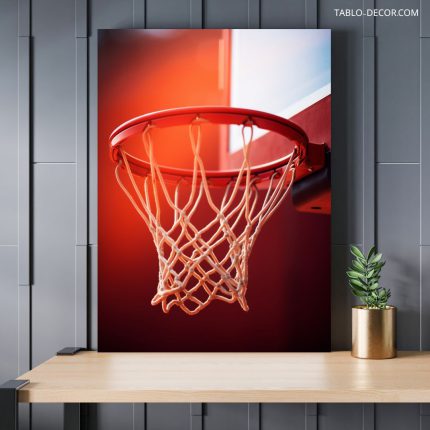 تابلو دکوراتیو ورزشی تور بسکتبال basketball net