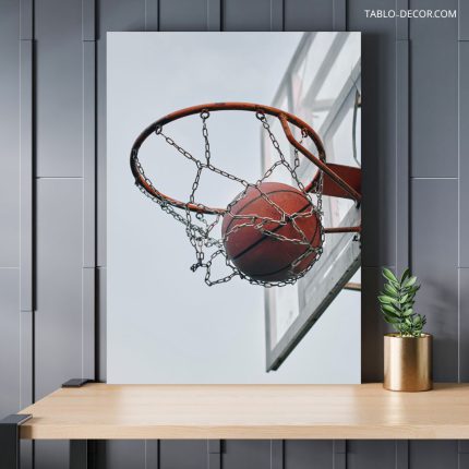 تابلو دکوراتیو ورزشی تور بسکتبال basketball net