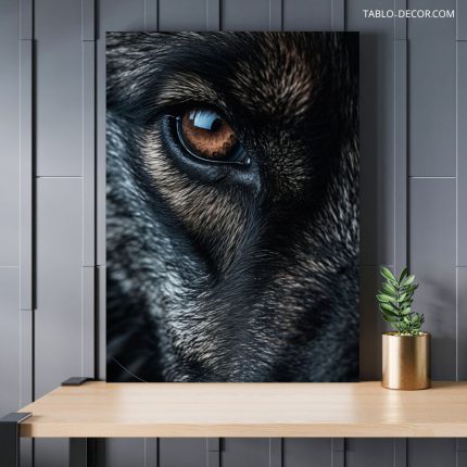 تابلو دکوراتیو حیوانات چشم گرگ wolf eye
