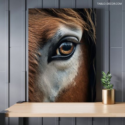 تابلو دکوراتیو حیوانات چشمان اسب horse eyes