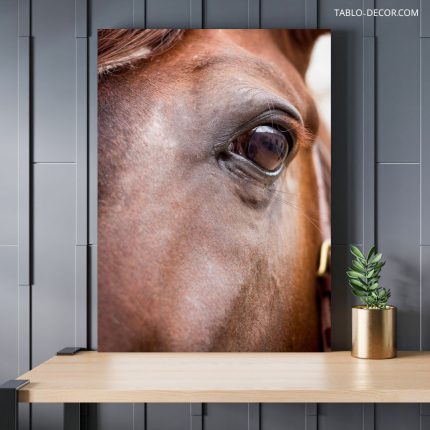 تابلو دکوراتیو حیوانات چشمان اسب horse eyes