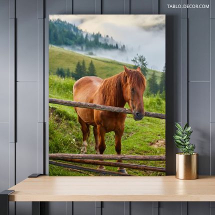 تابلو دکوراتیو حیوانات اسب در جنگل Horse in the forest
