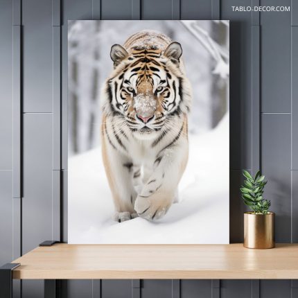 تابلو دکوراتیو حیوانات ببر Tiger