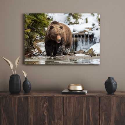 تابلو دکوراتیو حیوانات خرس گرسنه Hungry bear