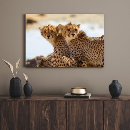 تابلو دکوراتیو حیوانات یوزپلنگ cheetah