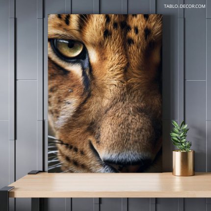 تابلو دکوراتیو حیوانات چشمان یوزپلنگ Cheetah eyes