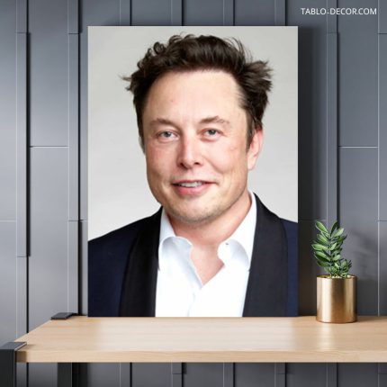 تابلو دکوراتیو مدرن ایلان ماسک Elon Musk