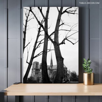 تابلو درختان بلند قامت Tall trees