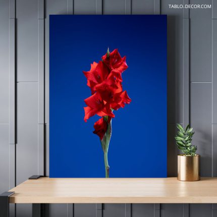 تابلو دکوراتیو مینیمال گل قرمز red flower