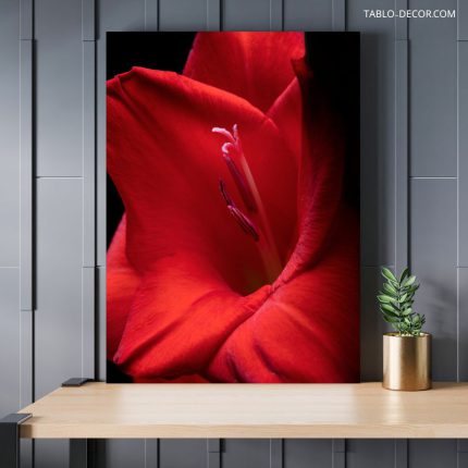 تابلو دکوراتیو مینیمال گل شکفته blooming flower