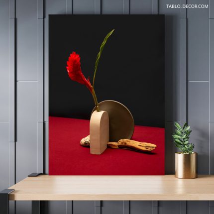 تابلو دکوراتیو مینیمال گل قرمز خاص A special red flower