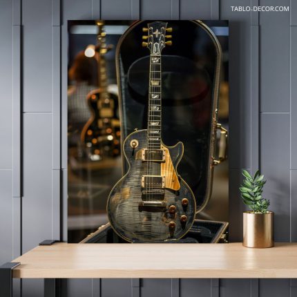 تابلو دکوراتیو مدرن گیتار خاص Special guitar