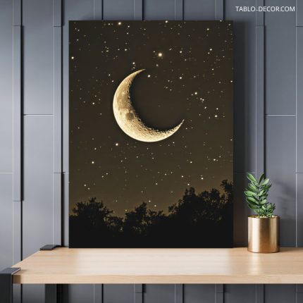 تابلو ماه the moon