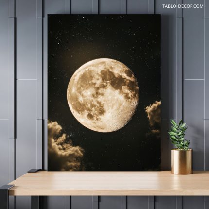 تابلو ماه the moon