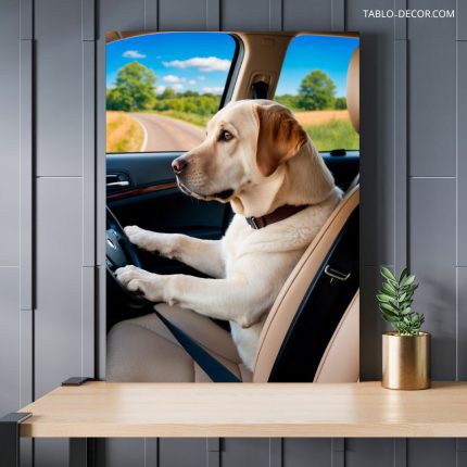 تابلو سگ راننده dog driver