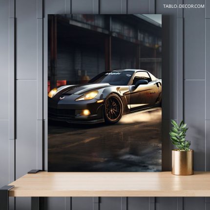 تابلو ماشین خفن Stupid car