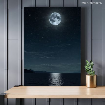 تابلو ماه در آسمان moon in the sky