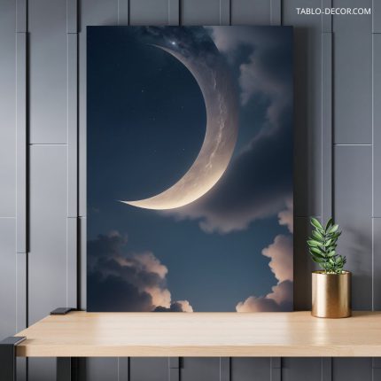 تابلو ماه the moon