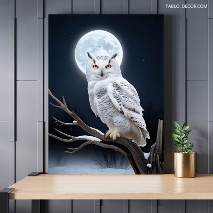 تابلو جغد the owl
