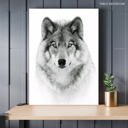 تابلو گرگ the wolf