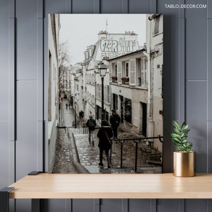 تابلو کوچه های پاریس The streets of Paris