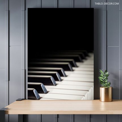 تابلو شاسی پیانو Piano chassis