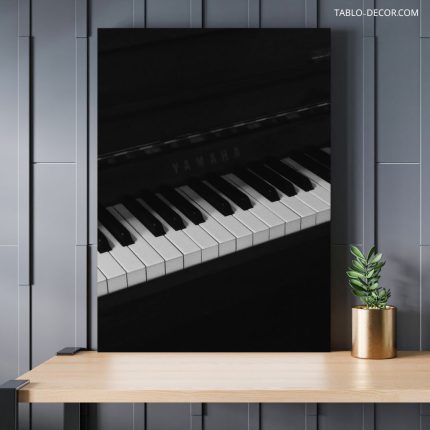 تابلو پیانو سیاه و سفید Black and white piano