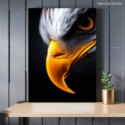 تابلو عقاب با چاپ باکیفیت Eagle with high-quality printing